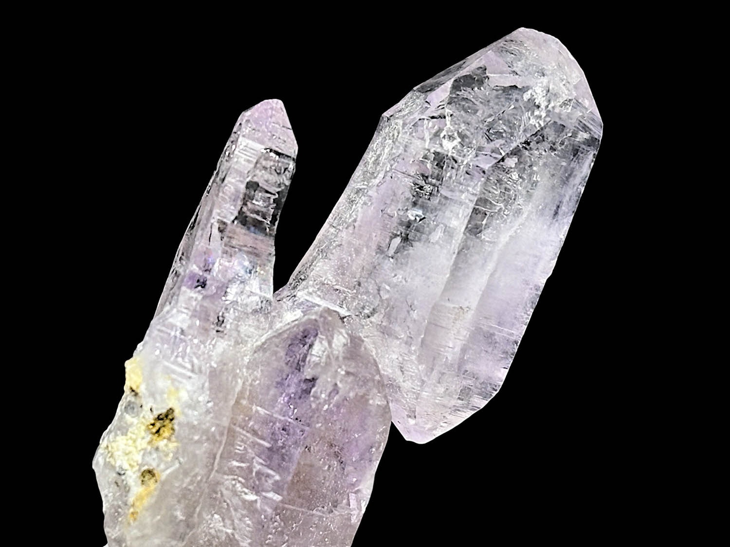 ベラクルスアメジスト / Veracruz Amethyst