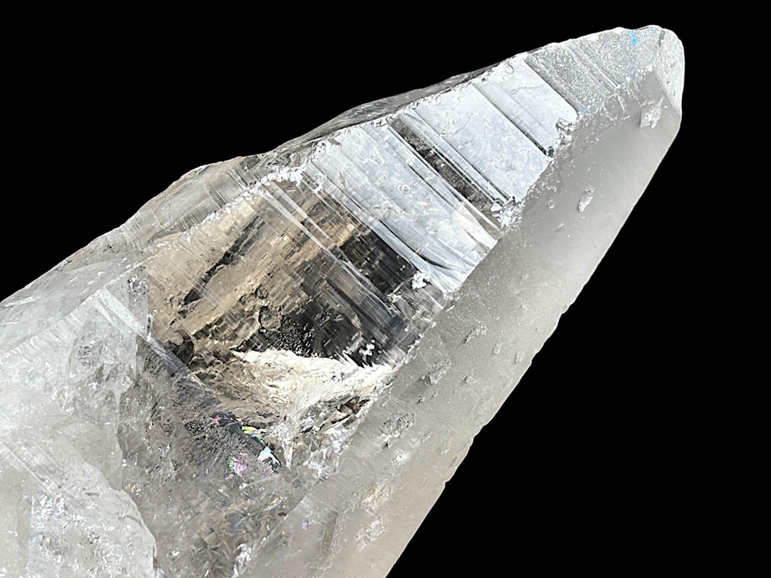 ヒマラヤ産ロシアンレムリアンシード ヒマラヤ産ロシアンレムリアン