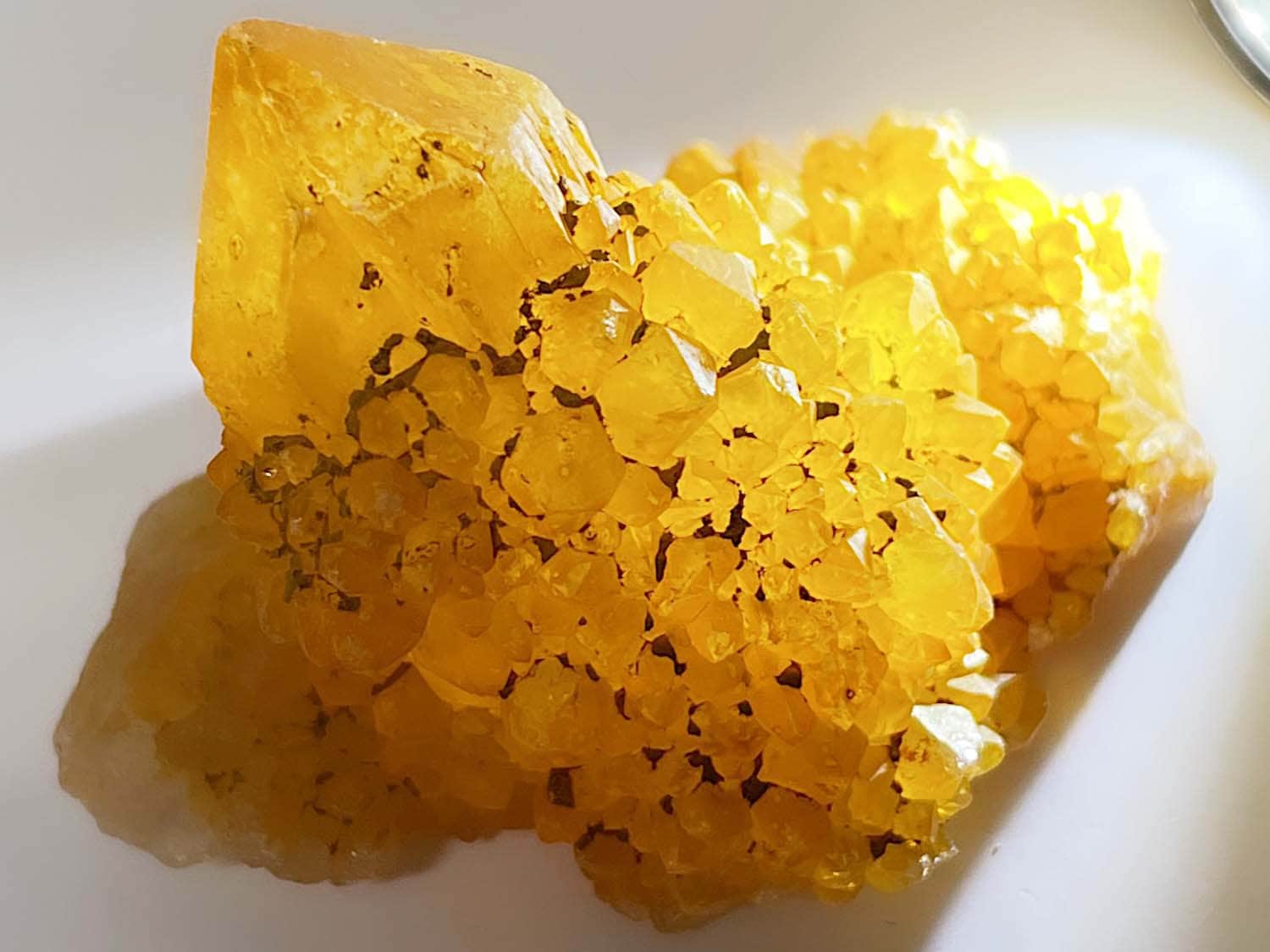 南アフリカ産 サンシャインクォーツ  (カクタスリモーネ)/ Cactus Quartz