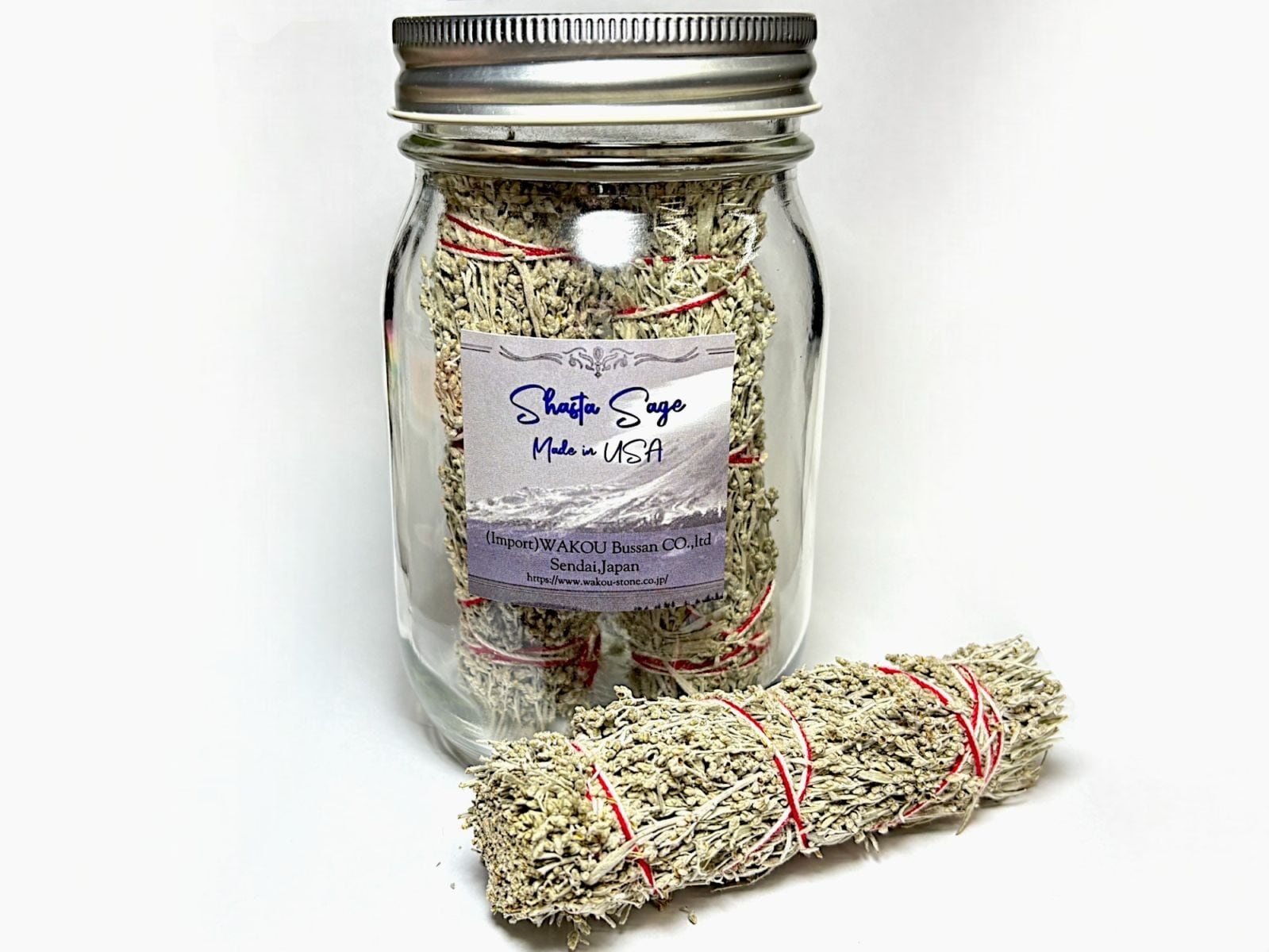 シャスタセージ (ブルーセージ)  瓶入り３束セット / Shasta Sage