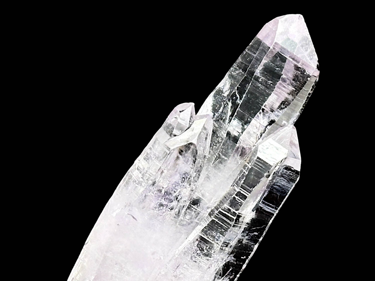 ベラクルスアメジスト / Veracruz Amethyst