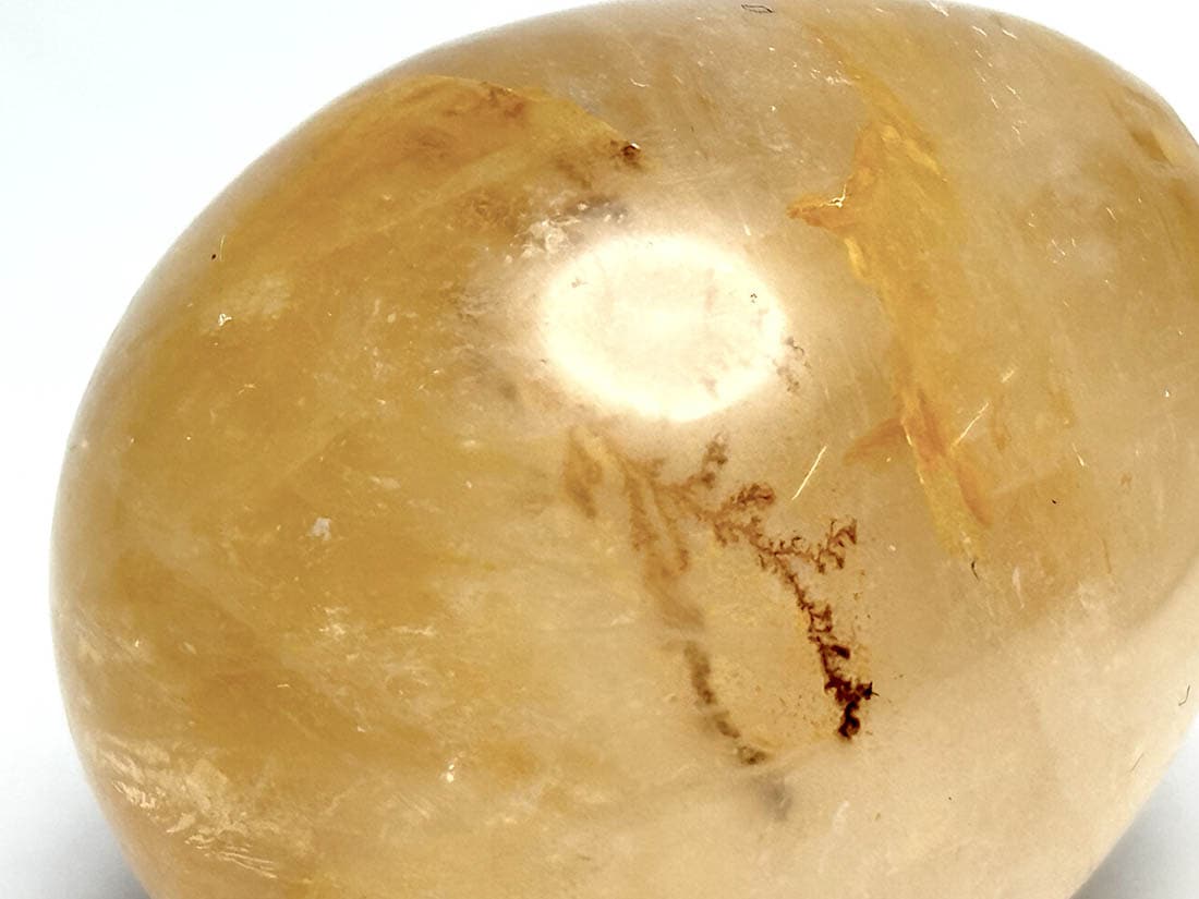 マダガスカル産 ゴールデンヒーラー エッグ / Golden Healer