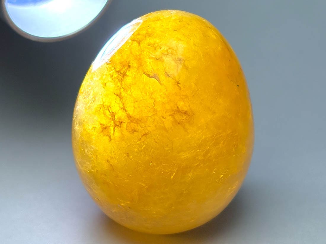 マダガスカル産 ゴールデンヒーラー エッグ / Golden Healer