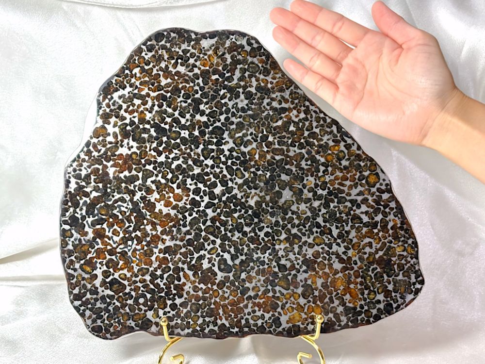 ケニア産 セリコパラサイト隕石 大型 / Sericho Pallasite Meteorite
