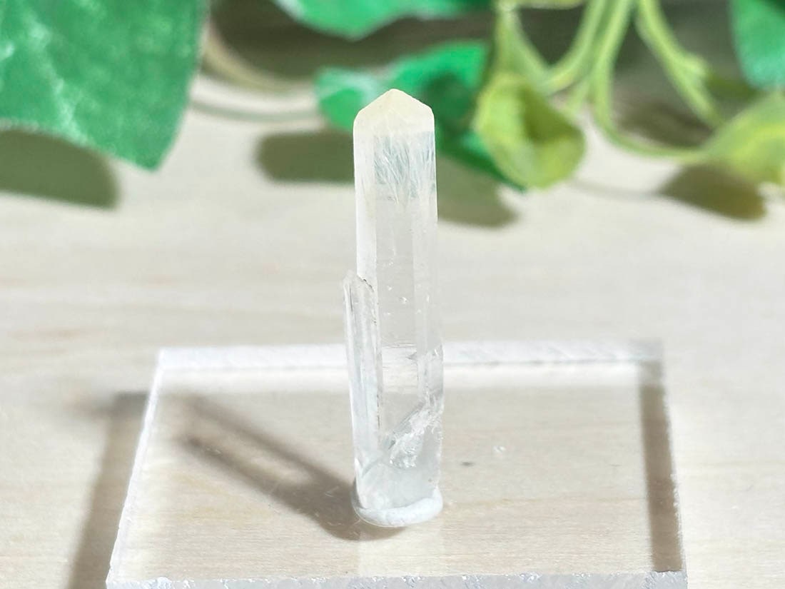 コロンビア産 マンゴークォーツ / mango quartz ( マンゴー水晶