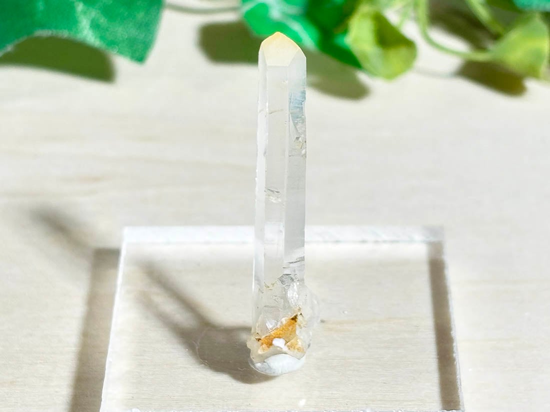 コロンビア産 マンゴークォーツ / mango quartz ( マンゴー水晶