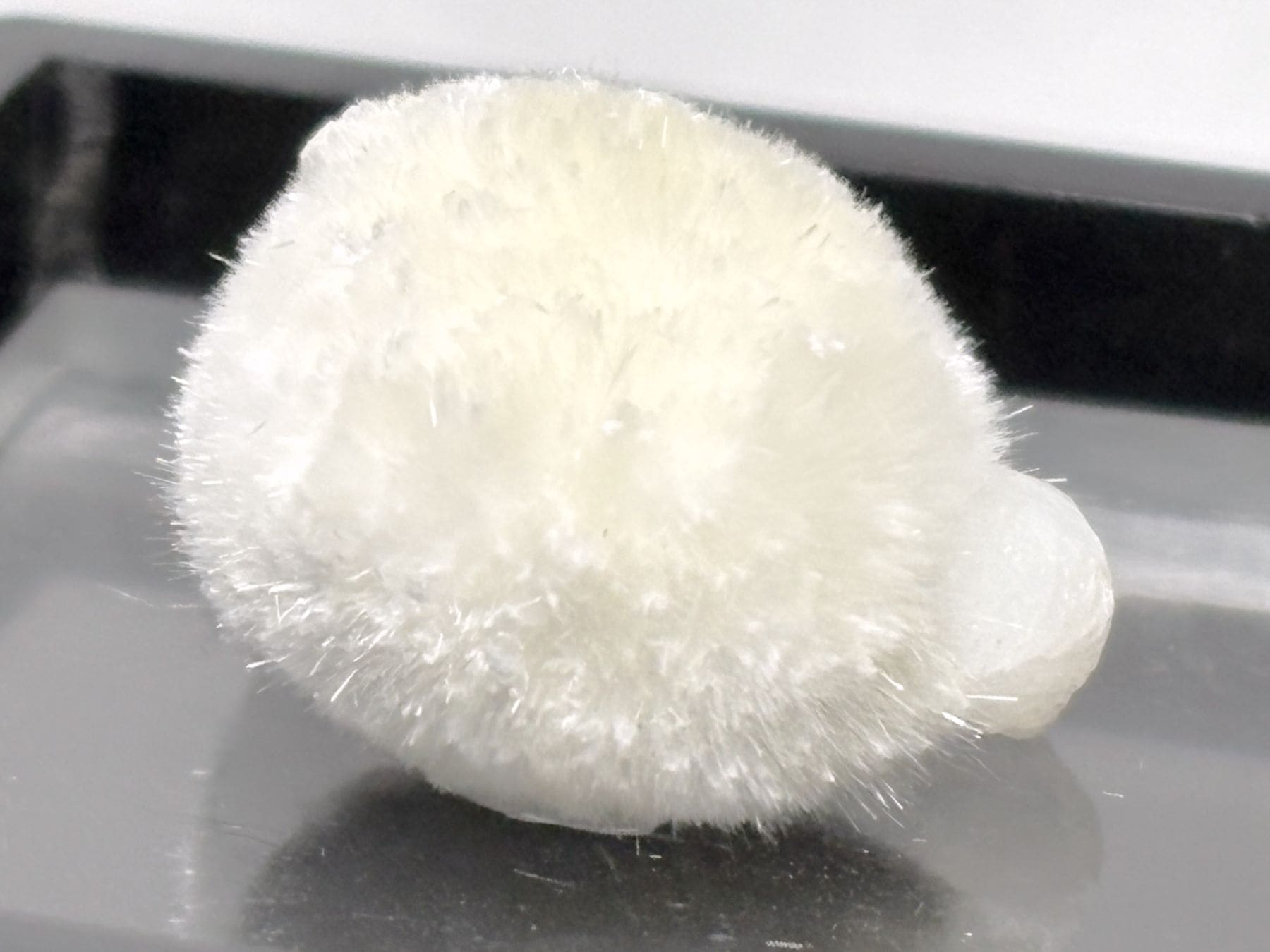 ❤︎モフモフで可愛い人気の❤︎オケナイト Okenite オーケン石 オケナイト/okenite (オーケン石)入荷しました「リアファル