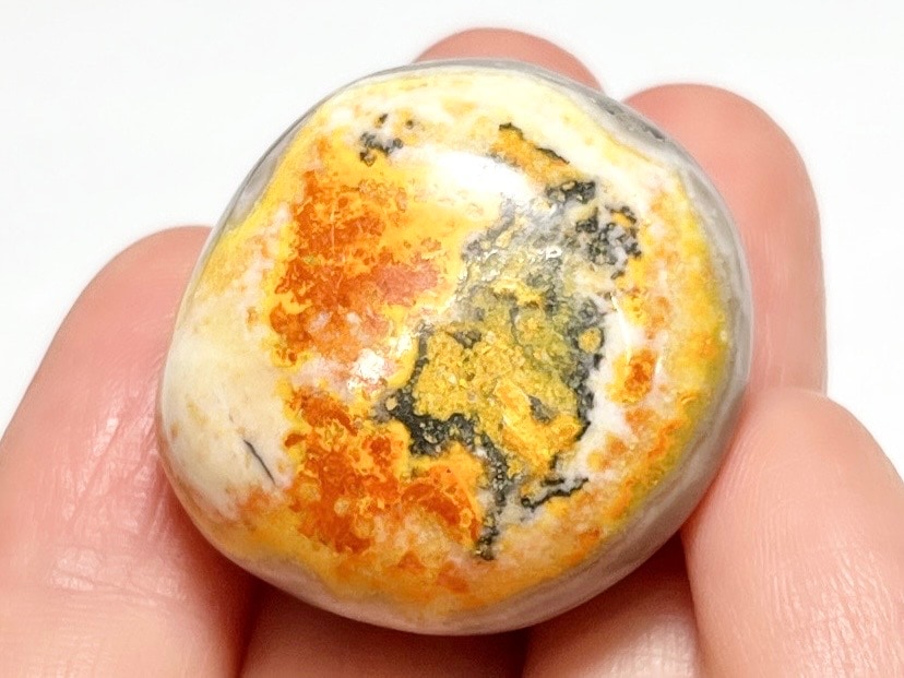 インドネシア産 バンブルビージャスパー タンブル / Bumblebee Jasper