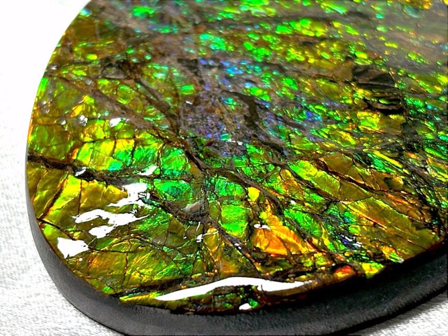 カナダ・アルバータ州産　ファイヤーアンモナイト　4個セット 全体的に発光　綺麗 カナダ・アルバータ州産 ファイヤーアンモナイト 4個セット 全体