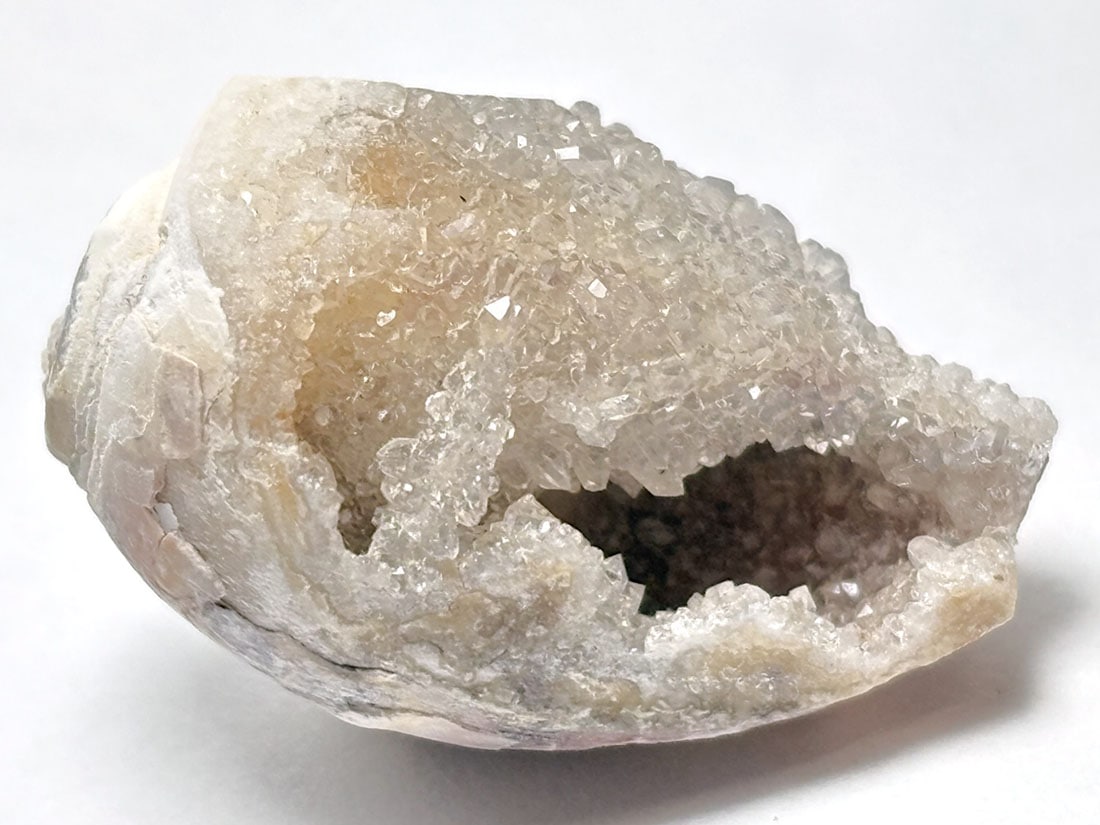 インド産 スピラライトジェムシェル / Spiralite Gemshells