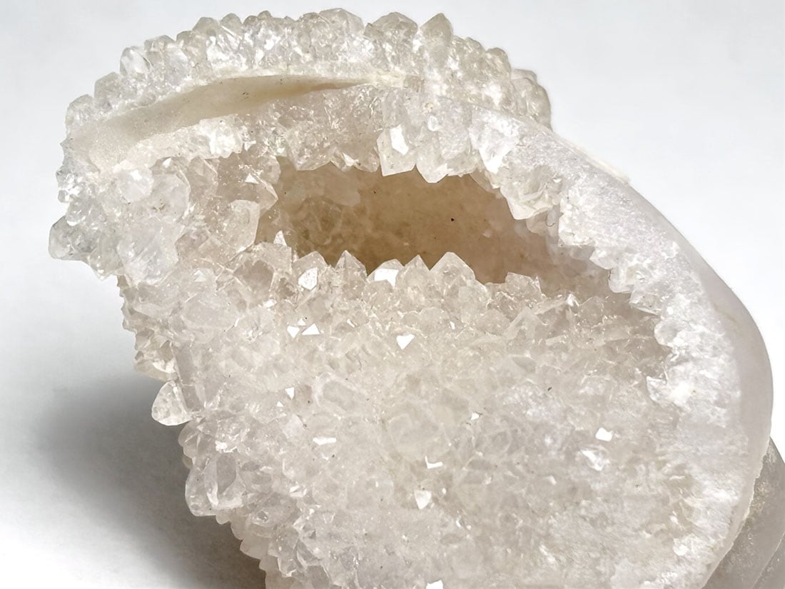 インド産 スピラライトジェムシェル / Spiralite Gemshells