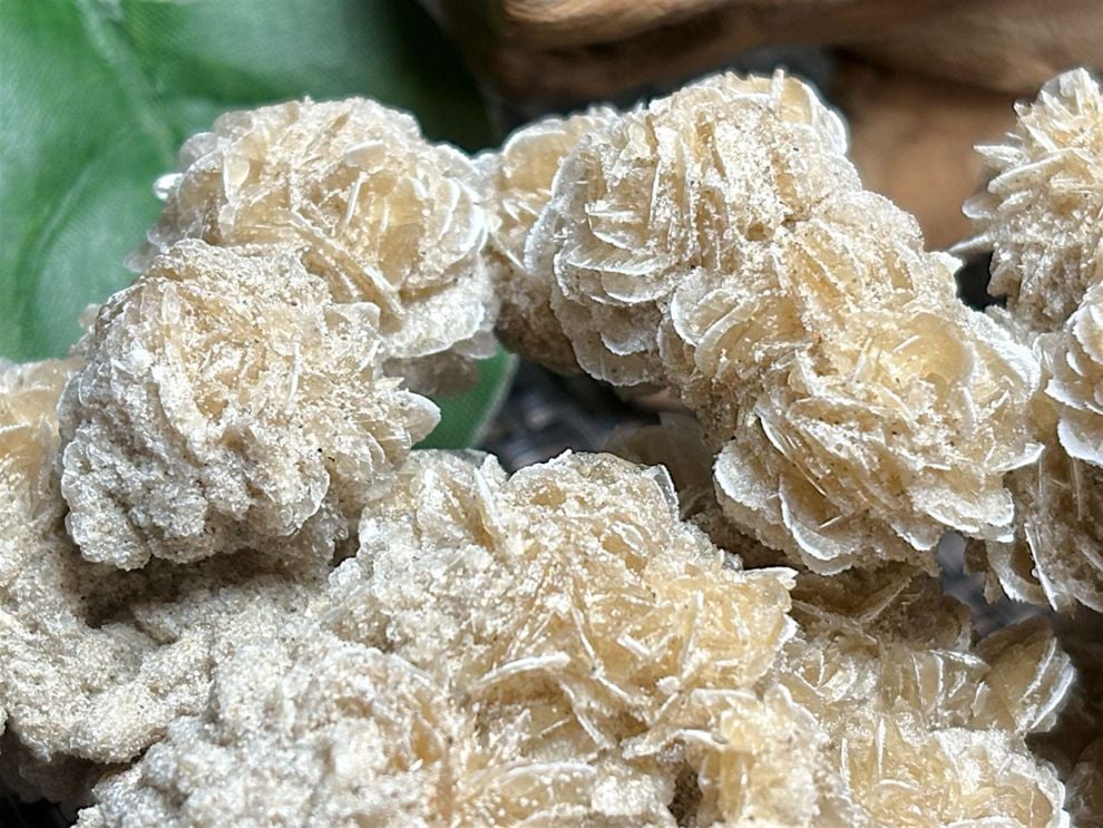 メキシコ産 デザートローズ (砂漠のバラ)/Desert Rose(Gypsum)