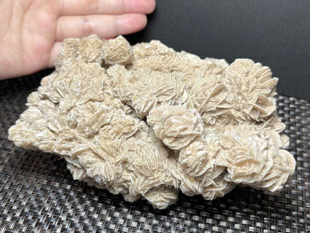 メキシコ産 デザートローズ (砂漠のバラ)/Desert Rose(Gypsum)