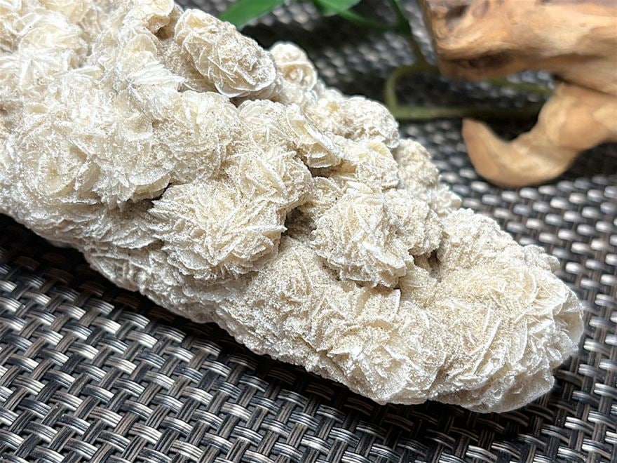 メキシコ産 デザートローズ (砂漠のバラ)/Desert Rose(Gypsum)