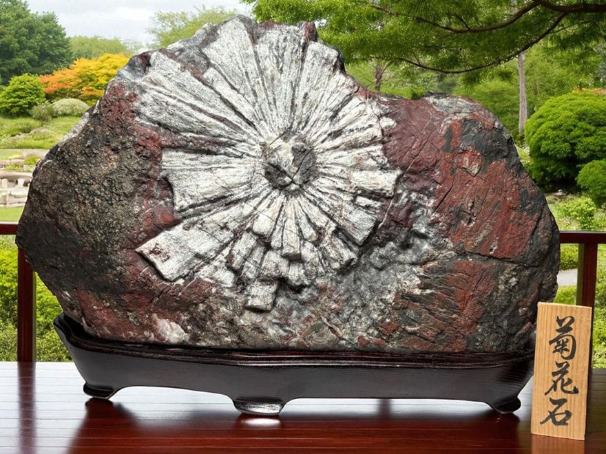 水晶‥オベリスク 木製台座付き 水晶‥オベリスク 木製台座付き 水晶‥オベリスク 木製台座付き