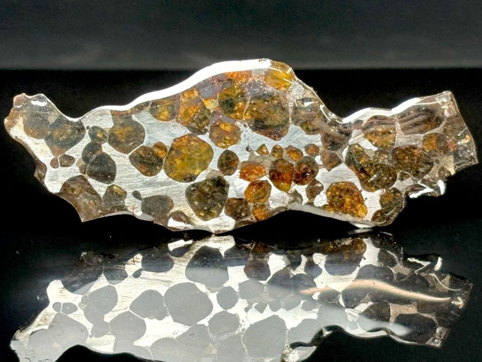 セリコパラサイト隕石