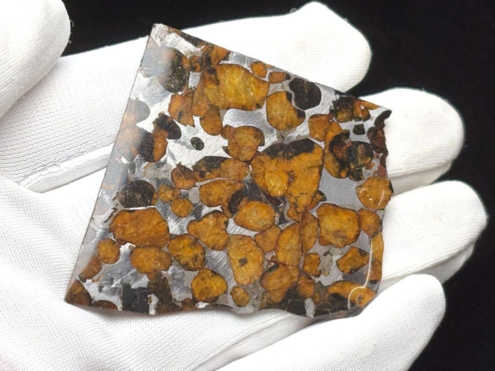 ケニア産 セリコパラサイト隕石 / Sericho Pallasite Meteorite