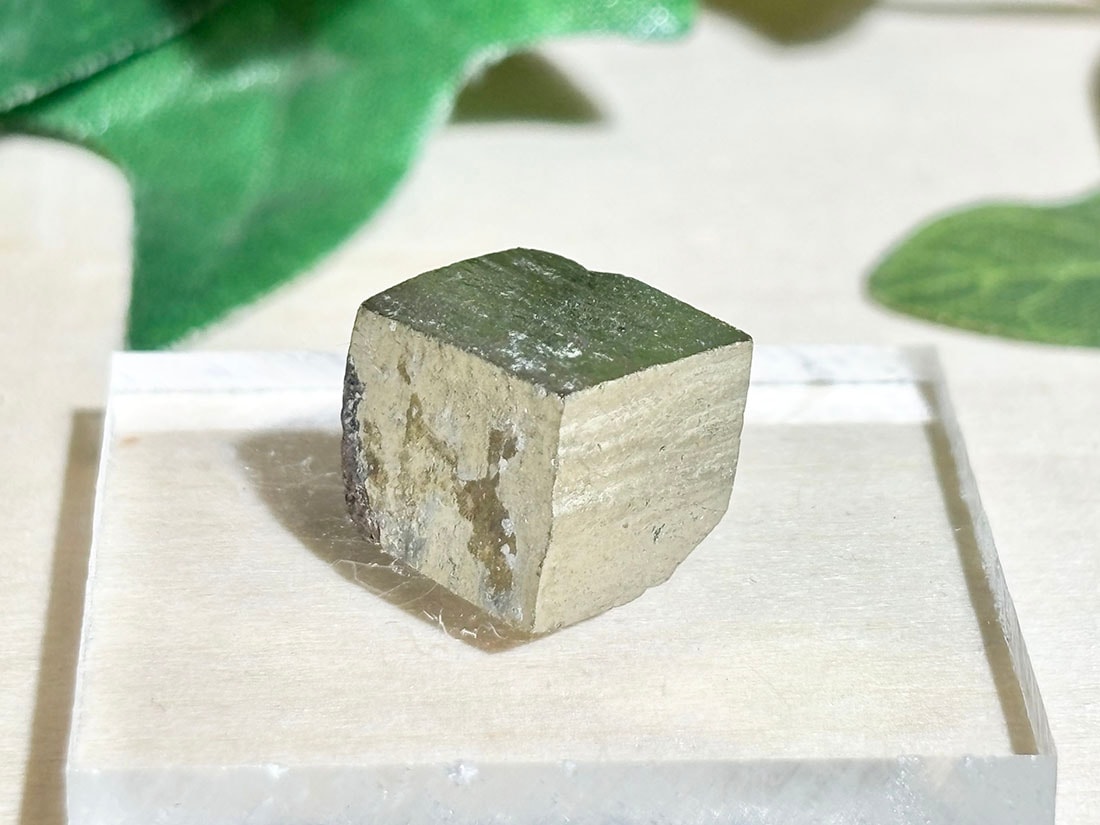 新潟県 飯豊鉱山産 パイライト / pyrite ( 黄鉄鉱 )【ミニチュア鉱物】