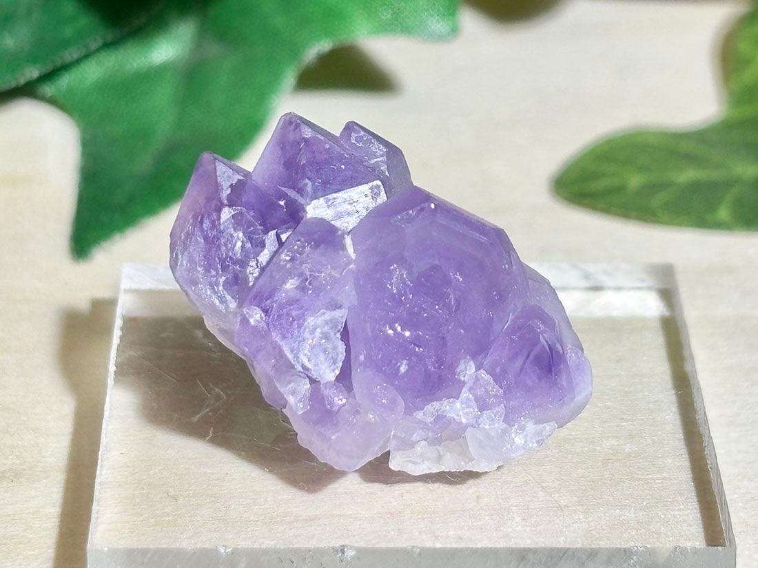 マダガスカル産 アメジスト / amethyst ( 紫水晶 )【ミニチュア鉱物】