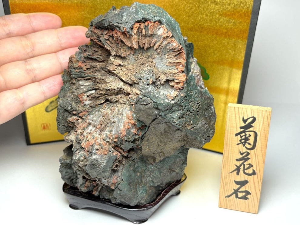 木製台座付き天然石・美石 (with WOOD STAND)