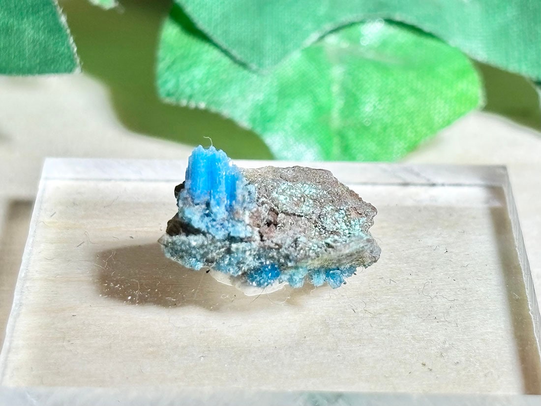 アリゾナ州産 カルカンサイト / chalcanthite ( 胆礬 )【ミニチュア鉱物】