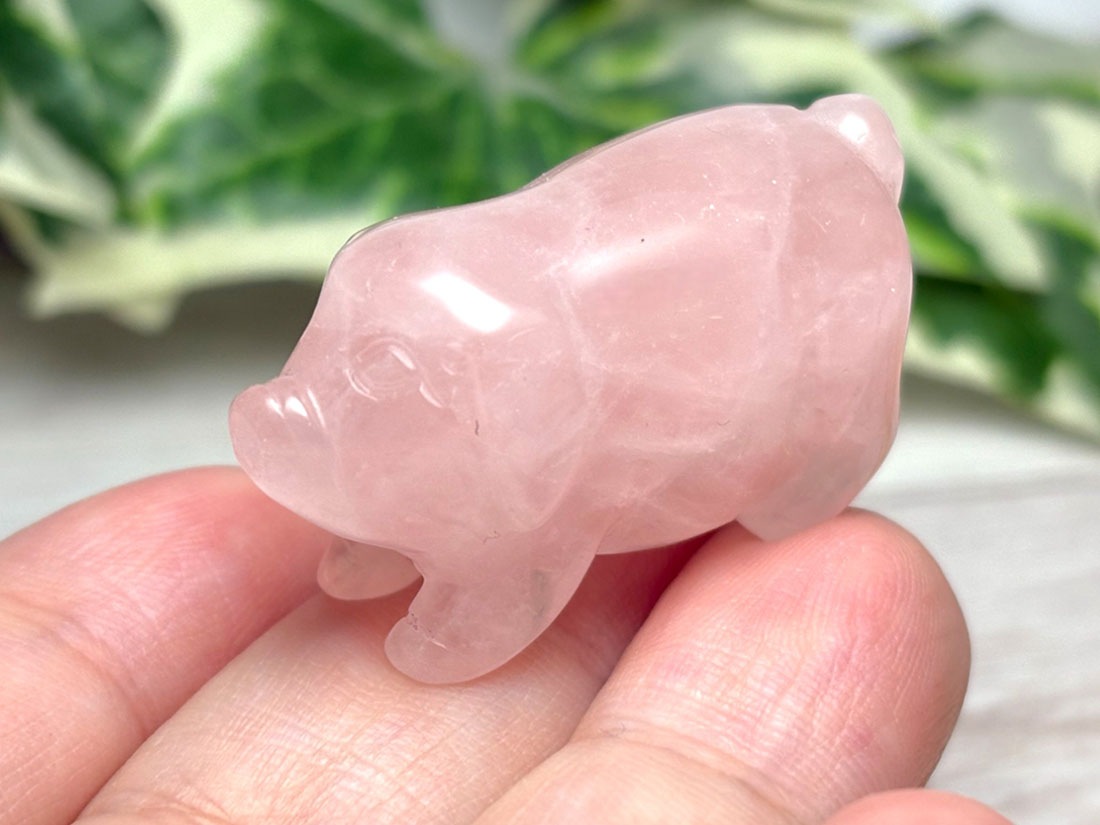 ローズクォーツ ぶた彫刻 / Rose Quartz