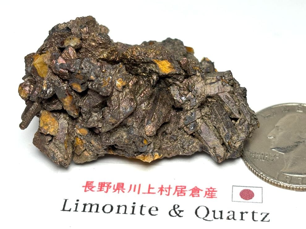 長野県川上村居倉産 褐鉄鉱 & 水晶 / Limonite & Quartz