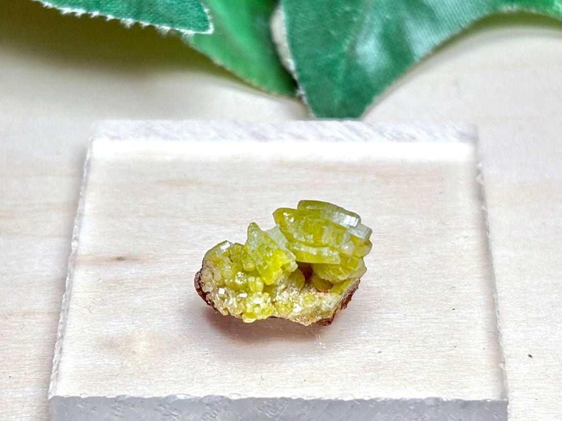 広西チワン族自治区産 パイロモルファイト / Pyromorphite ( 緑鉛鉱 )【ミニチュア鉱物】
