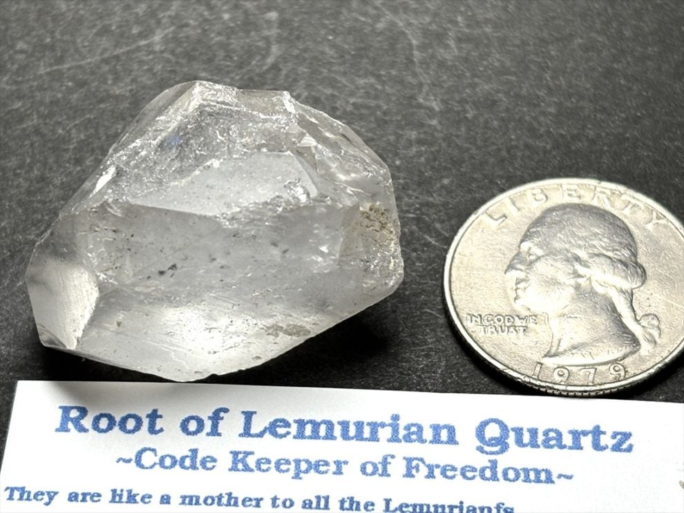 ブラジル・バイーア産  ルーツ オブ レムリアン  (レムリアンルーツクリスタル) /Root of Lemurian Quartz