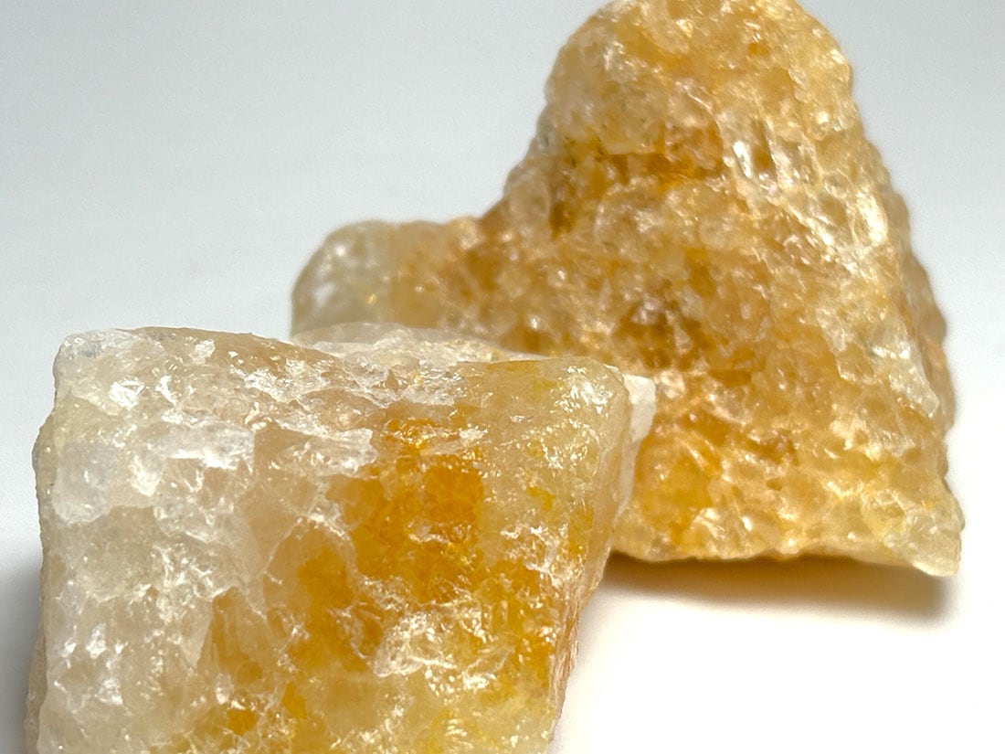 ブラジル産 ゴールデンヒーラー  2個セット / Golden Healer