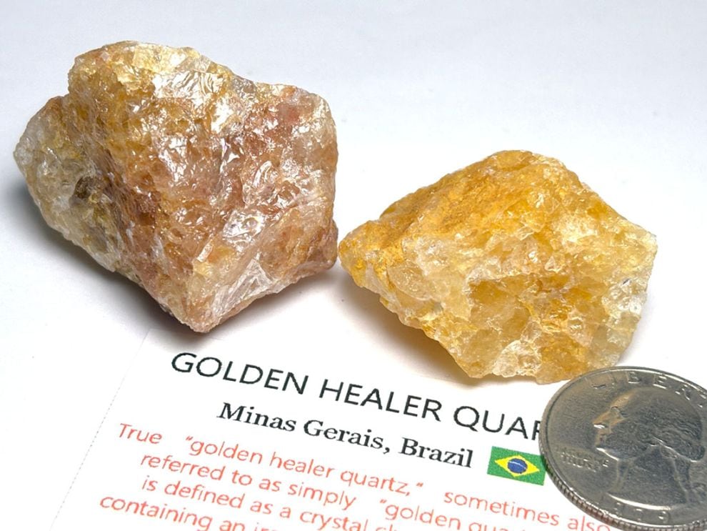 ブラジル産 ゴールデンヒーラー  2個セット / Golden Healer