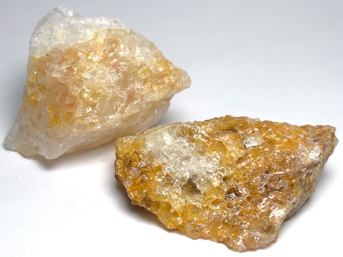 ブラジル産 ゴールデンヒーラー  2個セット / Golden Healer