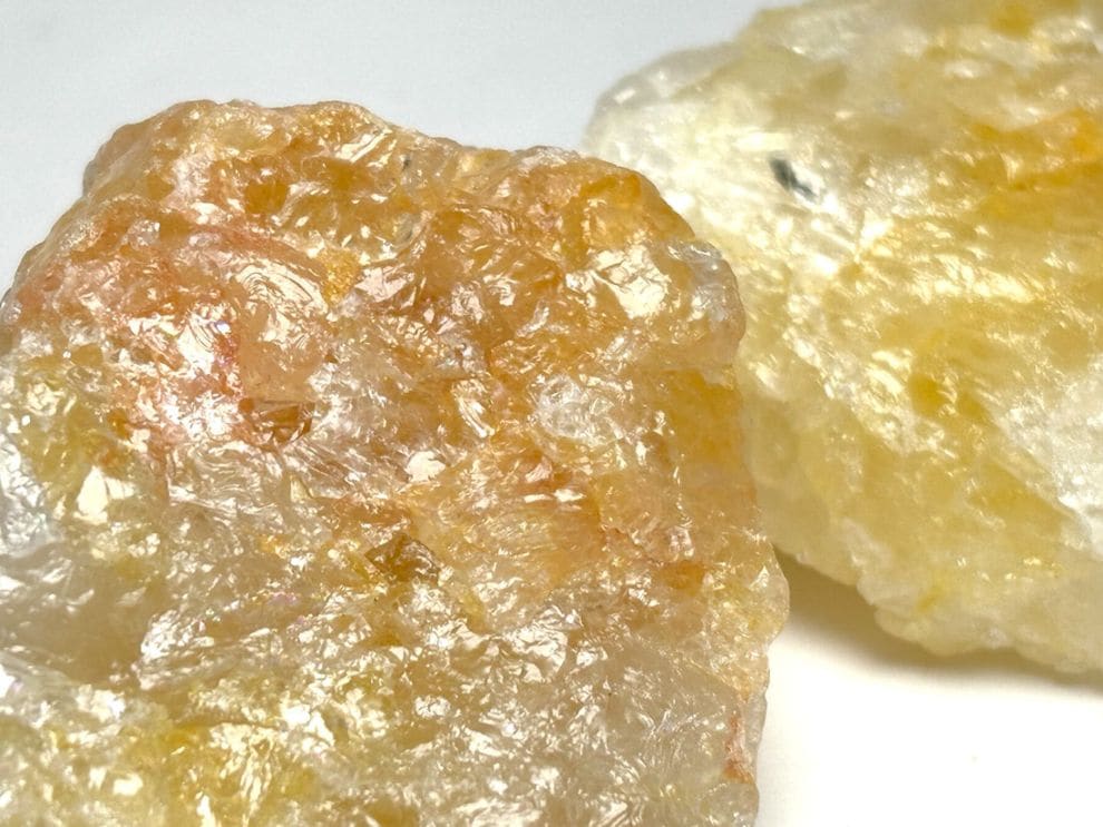 ブラジル産 ゴールデンヒーラー  2個セット / Golden Healer