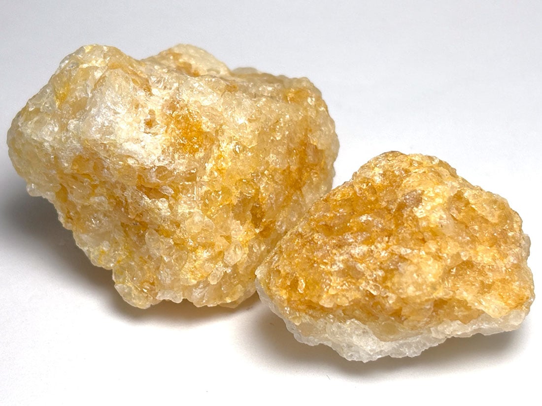 ブラジル産 ゴールデンヒーラー  2個セット / Golden Healer