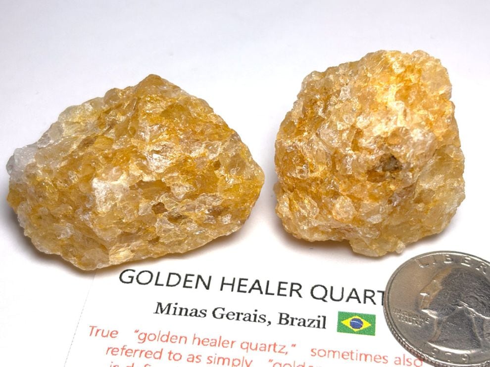 ブラジル産 ゴールデンヒーラー  2個セット / Golden Healer