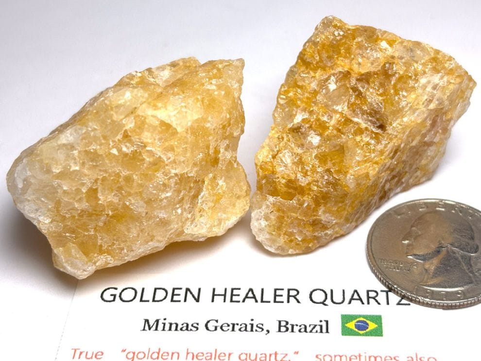 ブラジル産 ゴールデンヒーラー  2個セット / Golden Healer