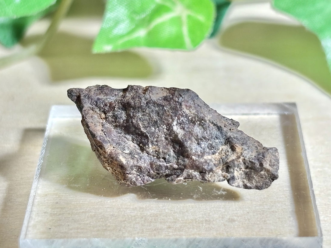 モロッコ産 コンドライト / chondrite ( 石質隕石 )【ミニチュア鉱物】