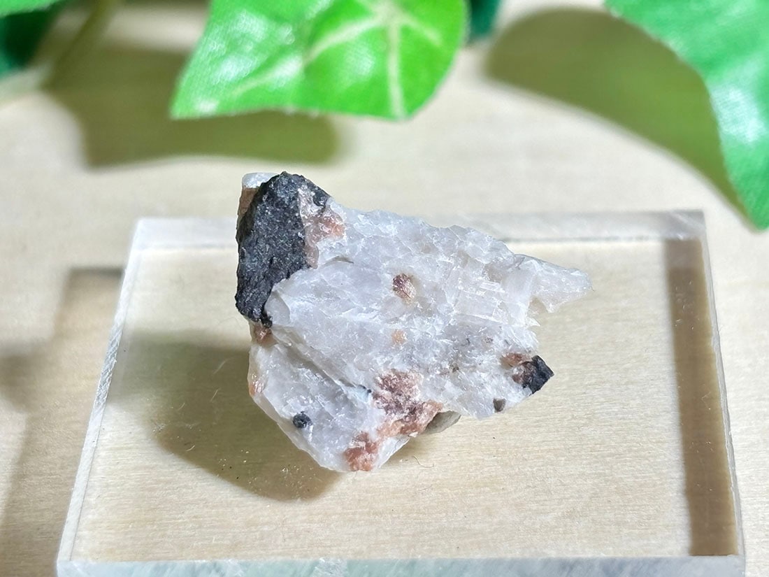 (蛍光) ニュージャージー州産 ウィレマイト / willemite ( 珪亜鉛鉱 )【ミニチュア鉱物】