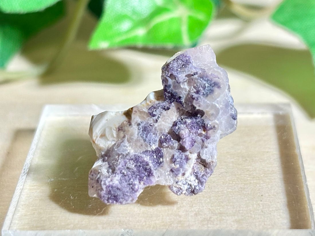 (蛍光) ユタ州産 ティファニーストーン / tiffany stone 【ミニチュア鉱物】