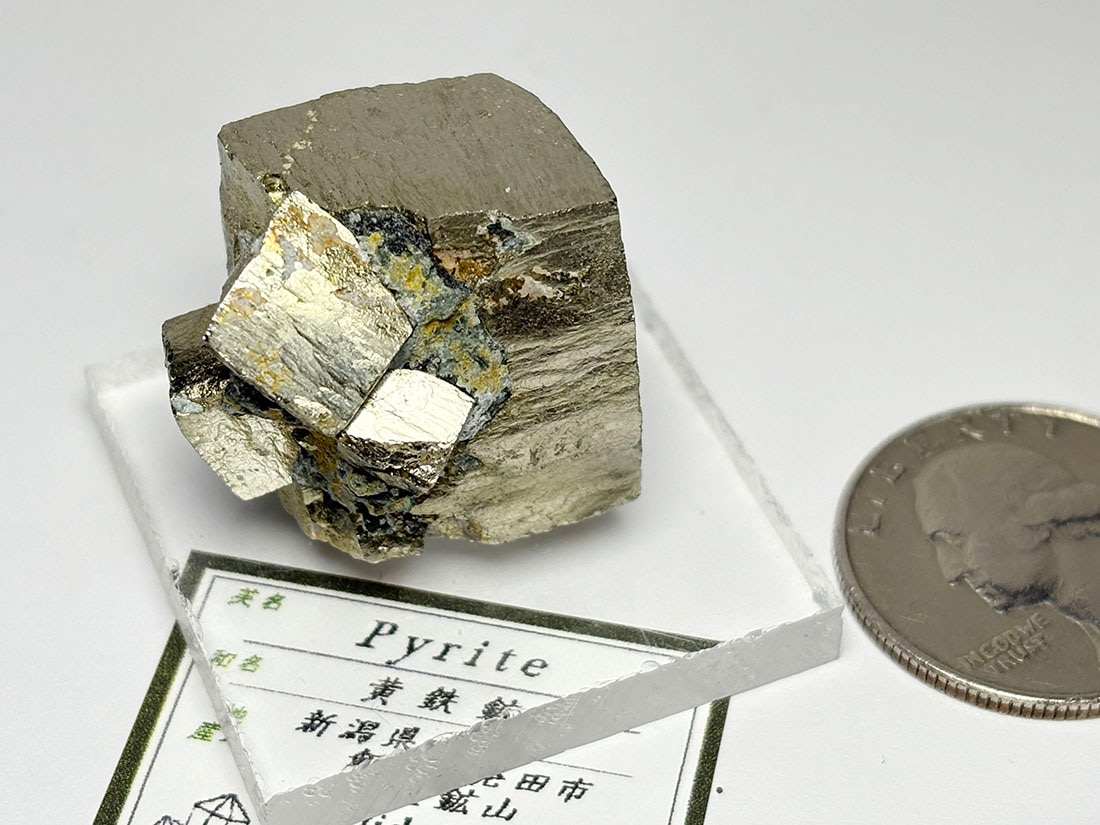 新潟県飯豊鉱山産 パイライト  ( 黄鉄鉱 ) /Pyrite