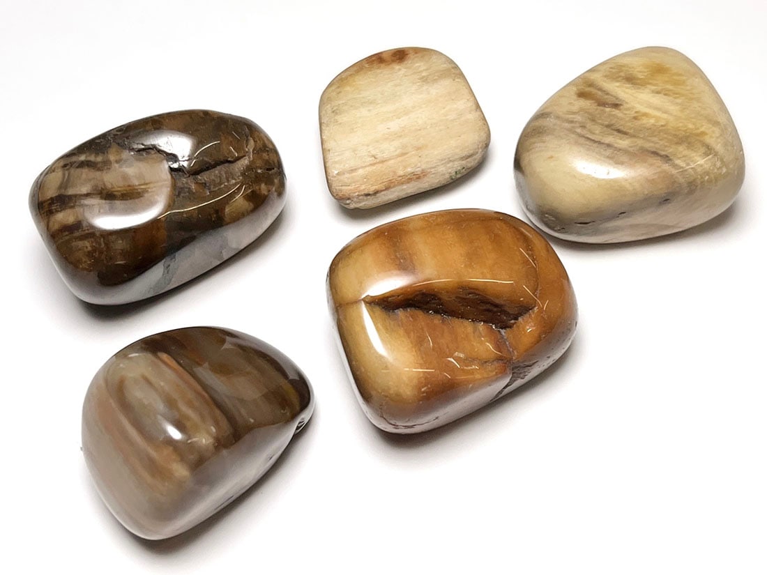 マダガスカル産 ペトリファイドウッド タンブル 5個セット ( 珪化木 ) / Petrified wood