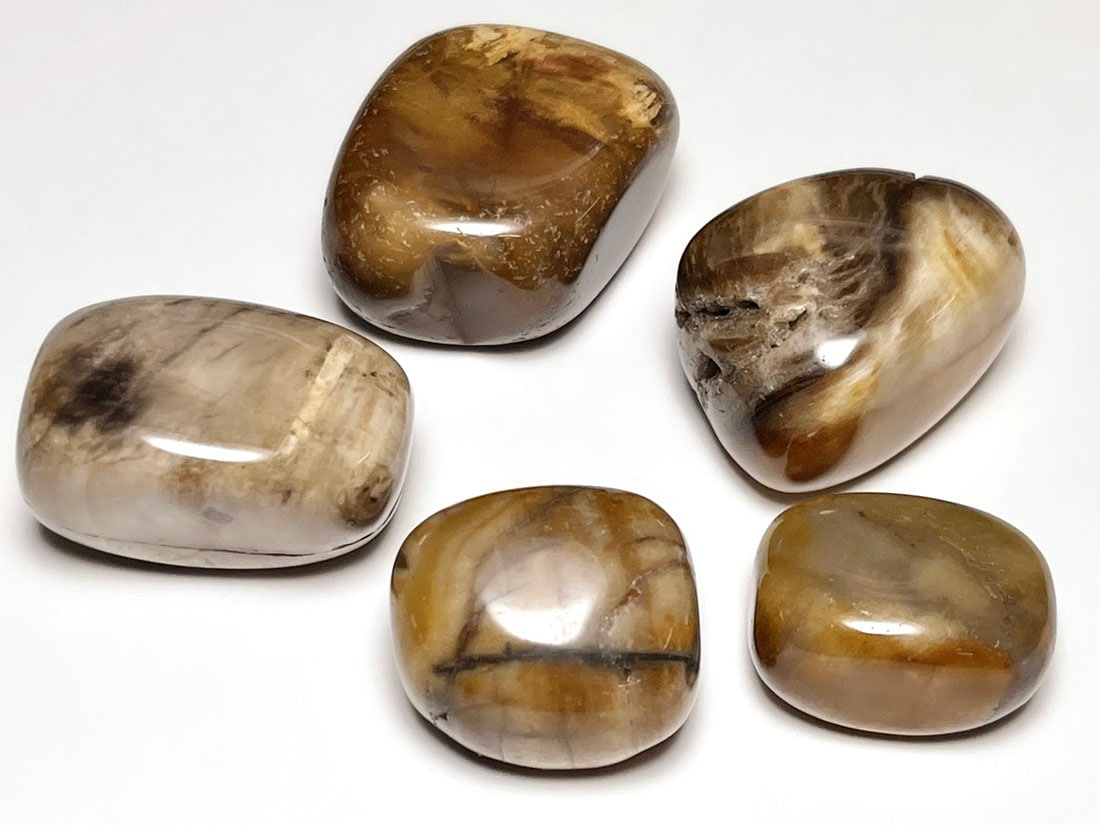 マダガスカル産 ペトリファイドウッド タンブル 5個セット ( 珪化木 ) / Petrified wood