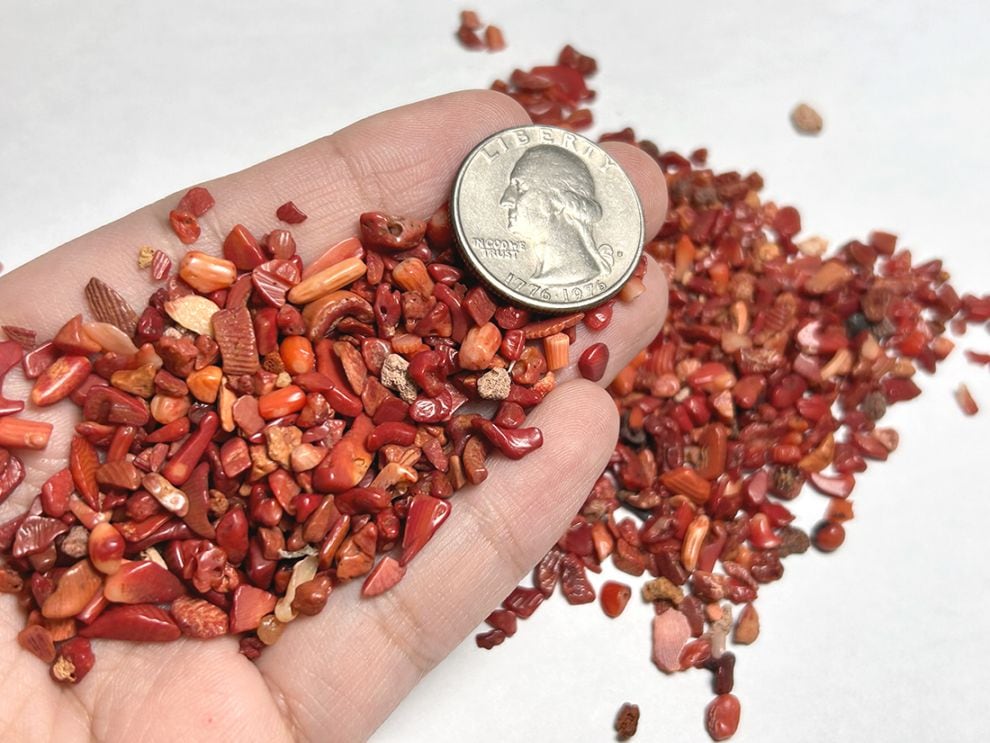 レッドコーラル さざれ  200g アソート