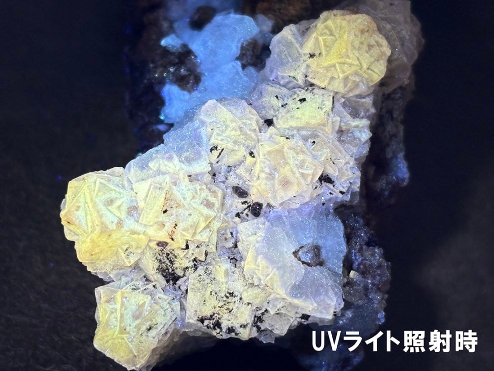 メキシコ産イエローフローライト with セレナイト / Fluorite with selenite