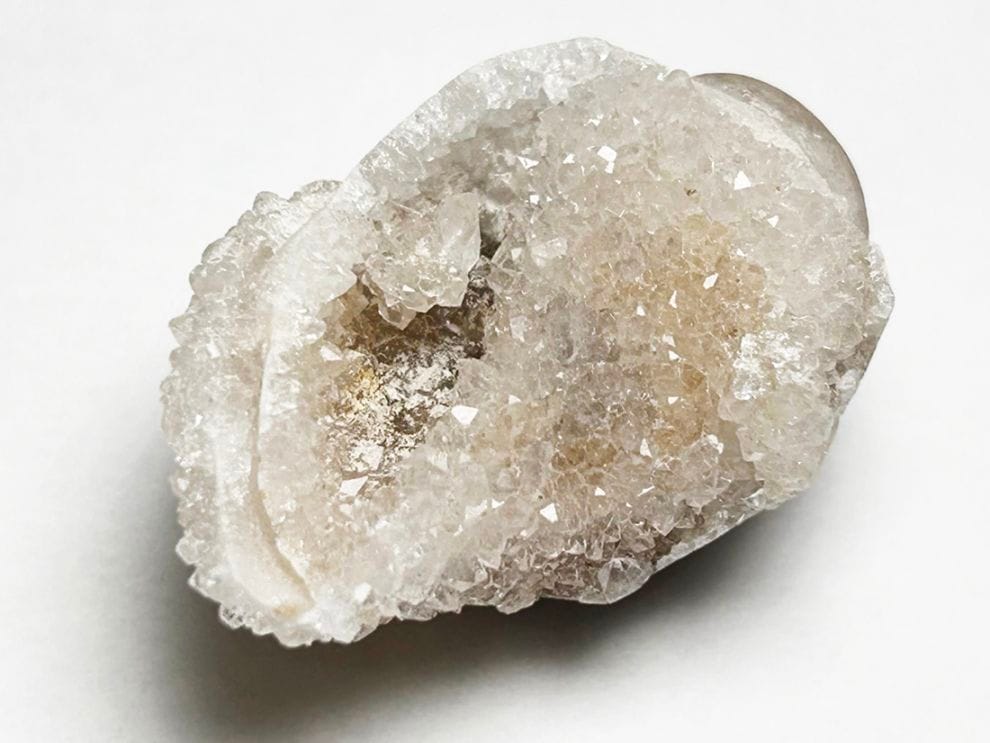 インド産 スピラライトジェムシェル / Spiralite Gemshells