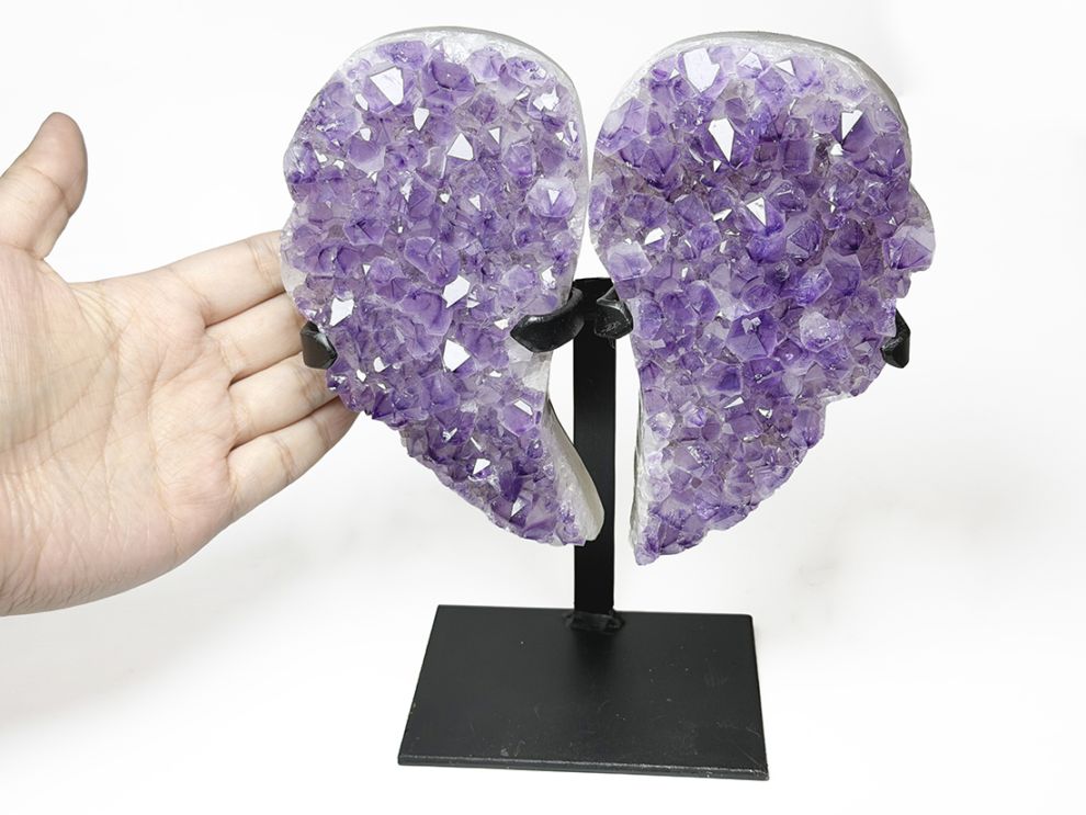 アメジスト ウィング / Amethyst