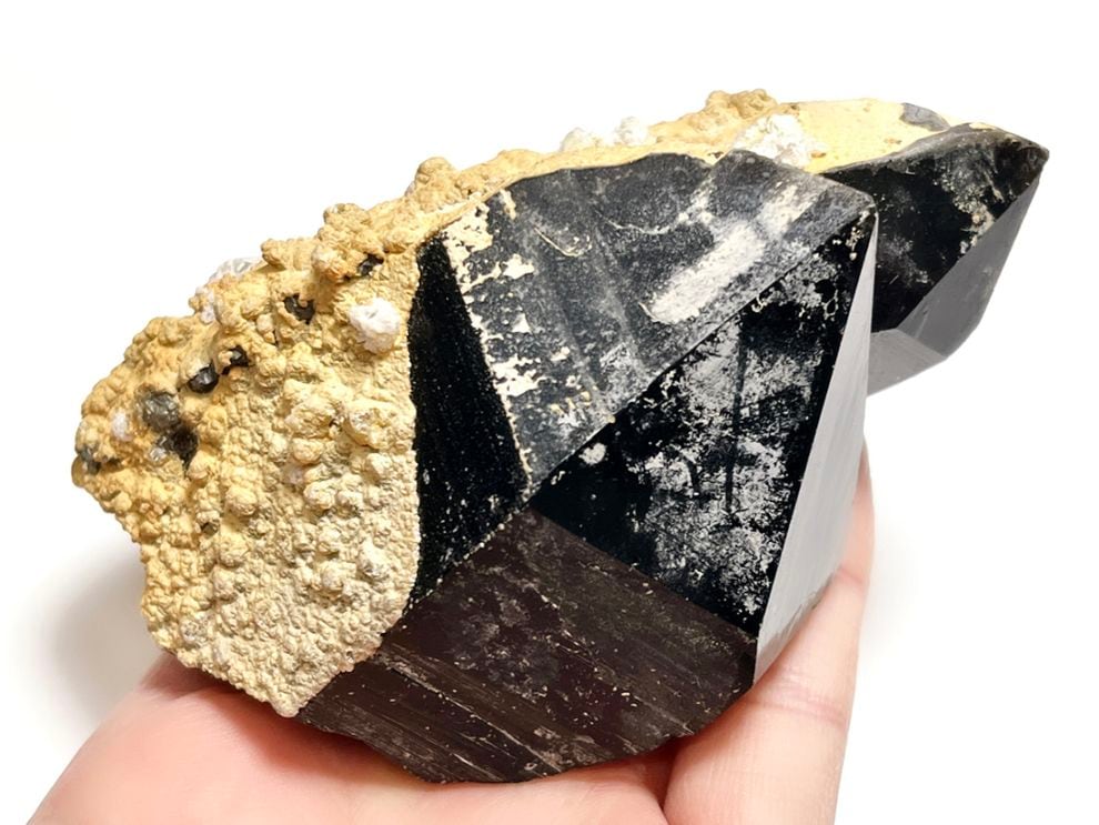 内モンゴル産 ナチュラルモリオン  ポイント ( 黒水晶 )/ Natural Morion