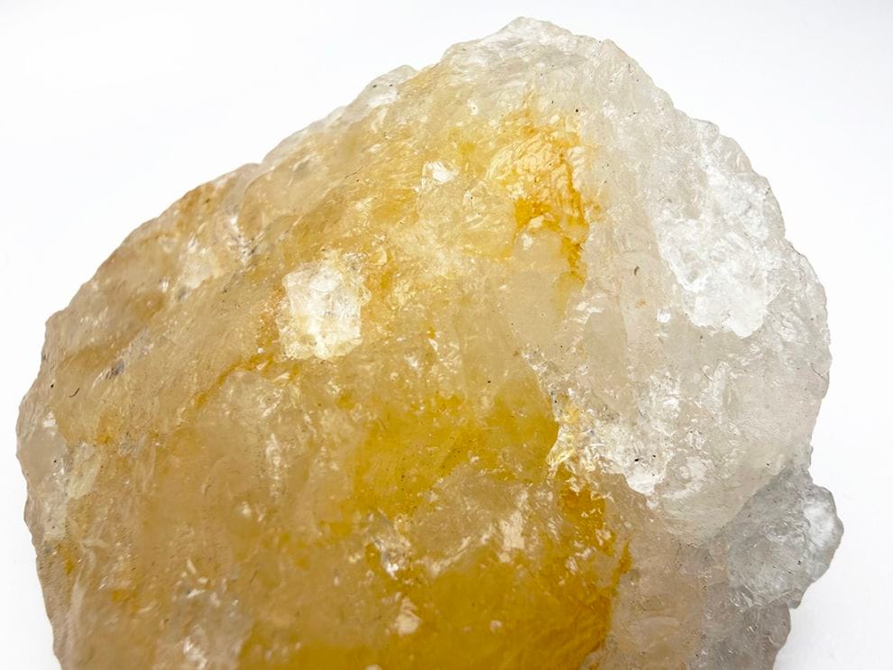 ブラジル産 ゴールデンヒーラー / Golden Healer