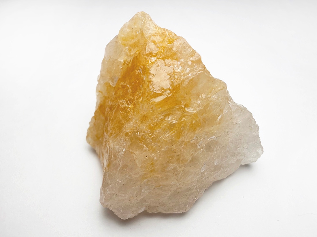 ブラジル産 ゴールデンヒーラー / Golden Healer