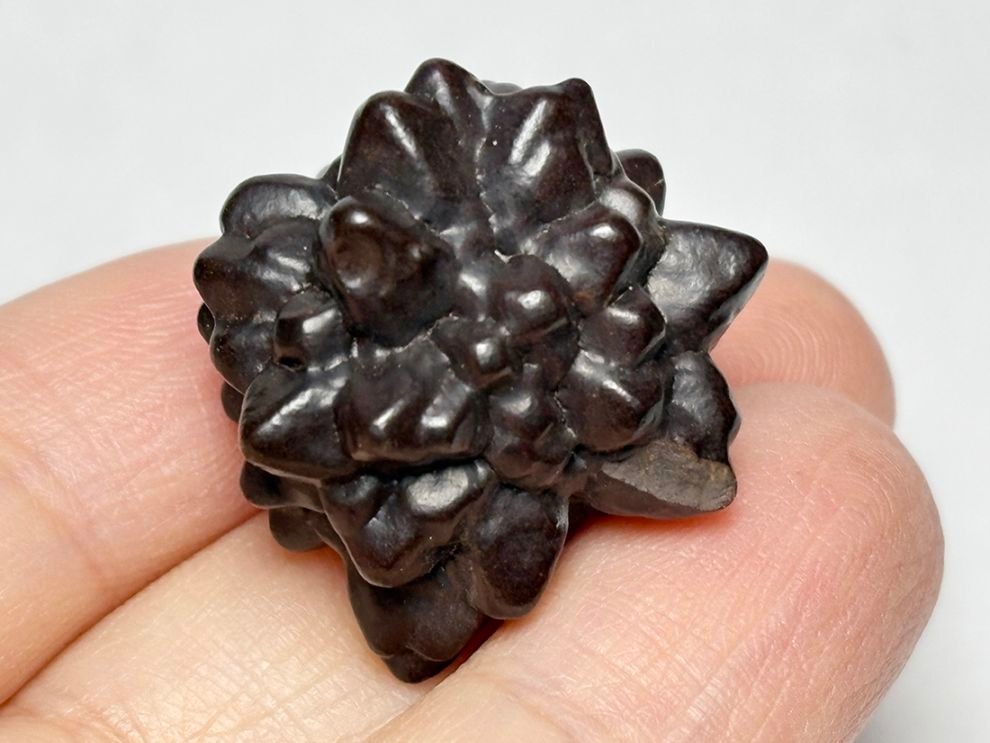 エジプトの星 ゼットストーン  (プロフェシーストーン)  / Prophecy Stone